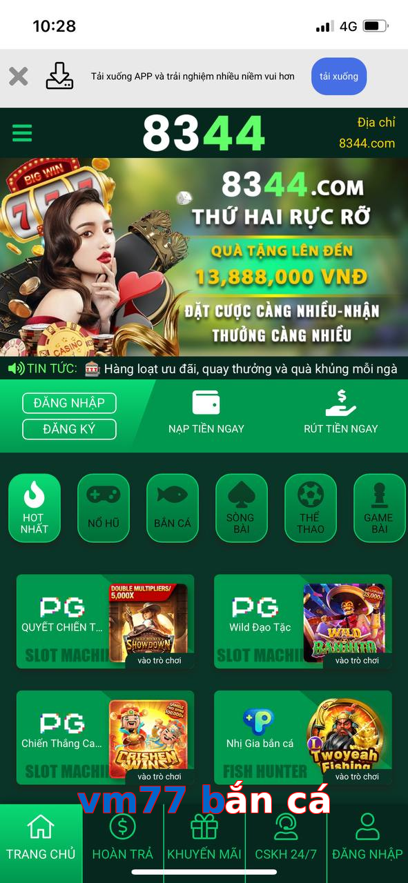 vm77 bắn cá